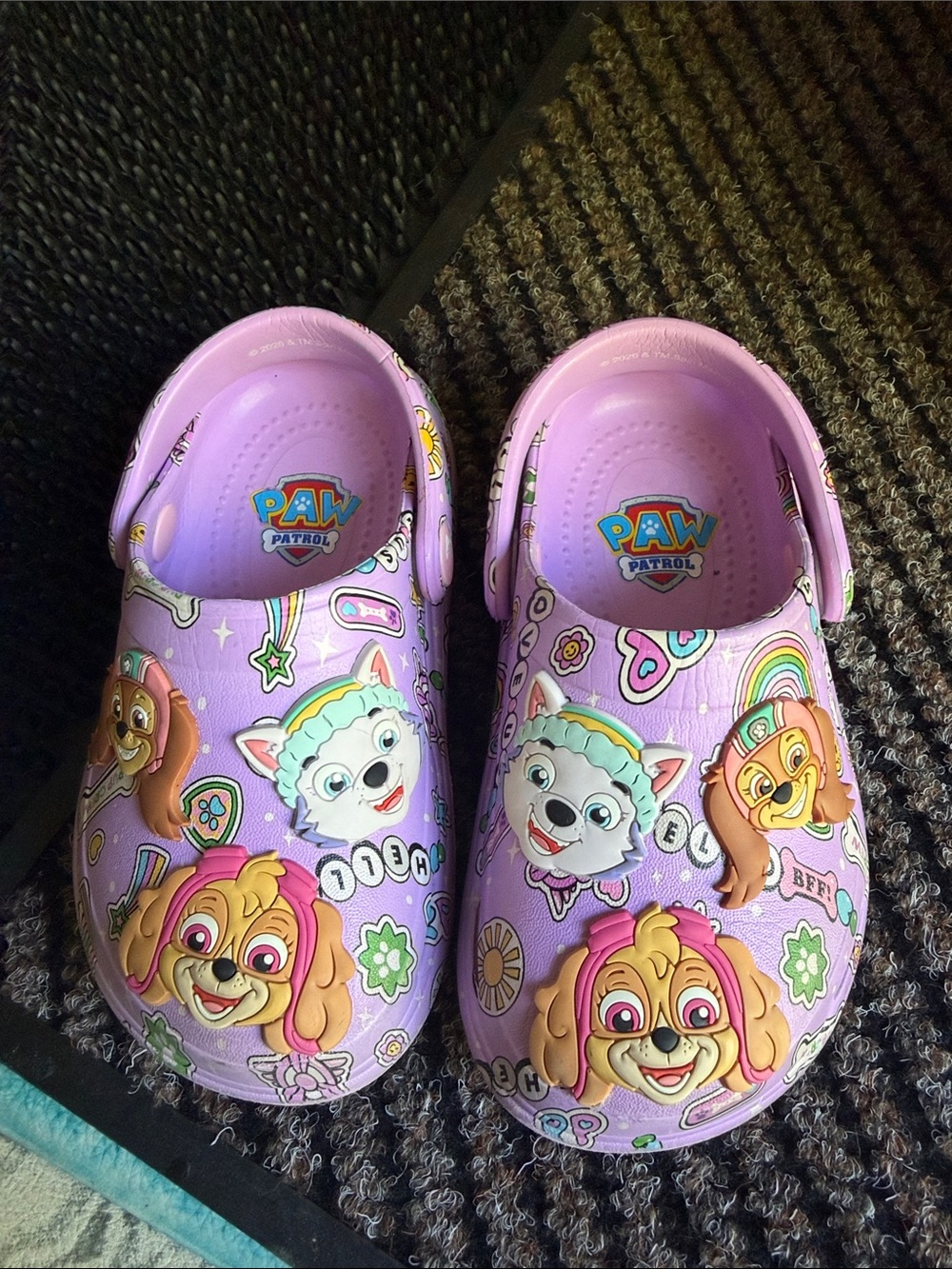 Target PAW Patrol Girls' Purple Character Clogs